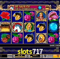 slots717 Brasília - VIP Program